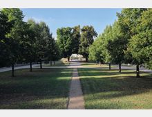 Ein Park mit einer zentralen, schmalen Kiesweg-Allee, die von grünen, symmetrisch angeordneten Bäumen flankiert wird. Im Hintergrund ist ein Tor oder Eingang zwischen Bäumen sichtbar, umgeben von einer offenen, sonnigen Wiesenfläche.