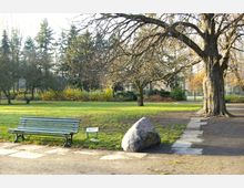 Parklandschaft mit einer grünen Holzbank, einem großen Baum mit kahlen Ästen und einem Felsen in der Nähe eines gepflasterten Weges. Im Hintergrund sind Rasenflächen, Büsche und hohe Bäume sichtbar.