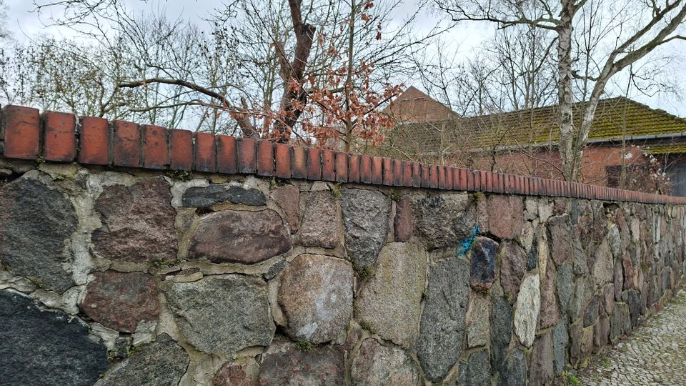 Niedrige Steinmauer aus großen, unregelmäßigen Feldsteinen mit roter Ziegelabdeckung entlang eines gepflasterten Weges. Dahinter stehen blattlose Bäume und ein Backsteingebäude mit moosigem Ziegeldach.