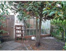 Ein kleiner Gartenbereich mit einem Baum in der Mitte, einer alten Holztür links, und einem verglasten Gewächshaus im Hintergrund. Der Boden ist teils gepflastert, teils erdig, und im Vordergrund stehen alte Metallrahmen und ein Eimer.