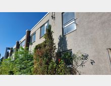 Flaches, mehrstöckiges Gebäude mit grauer Putzfassade und hohen rechteckigen Fenstern, umgeben von dichter Vegetation und kleinen Bäumen, unter einem klaren blauen Himmel.