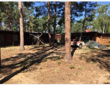 Mehrere dunkelbraune Holzgebäude in einem lichten Wald mit Kiefern, umgeben von trockenem Boden. Im Vordergrund sind ein Anhänger, Holzstapel und verschiedene Gerätschaften zu sehen.