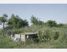 Eine grüne Wiese mit hohem Gras und Wildblumen, umgeben von Bäumen und Sträuchern. Im Vordergrund steht eine hölzerne Kompostkiste mit Pflanzen darauf, daneben liegt ein umgedrehter Metalleimer.