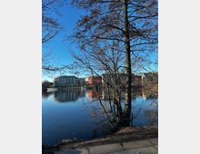 Blick auf einen Fluss oder See mit spiegelnder Wasseroberfläche, im Vordergrund kahler Baum und Uferbereich. Im Hintergrund moderne Wohngebäude in verschiedenen Farben, darunter Grau und Orange, unter klarem blauen Himmel.