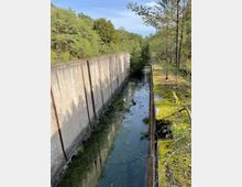 Betonierter Kanal mit stehenden, von Algen bedeckten Wasser, umgeben von dicht bewachsenen Bäumen und Moos auf den Kanalrändern. Im Hintergrund erstreckt sich eine bewaldete Landschaft unter klarem Himmel.