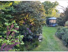 Gepflegter Garten mit dichtem Strauch- und Baumbestand sowie blühenden Pflanzen entlang eines schmalen Rasenwegs. Im Hintergrund steht ein verglaster Pavillon mit dunklem Rahmen und Zeltdach, umgeben von weiteren Sträuchern.