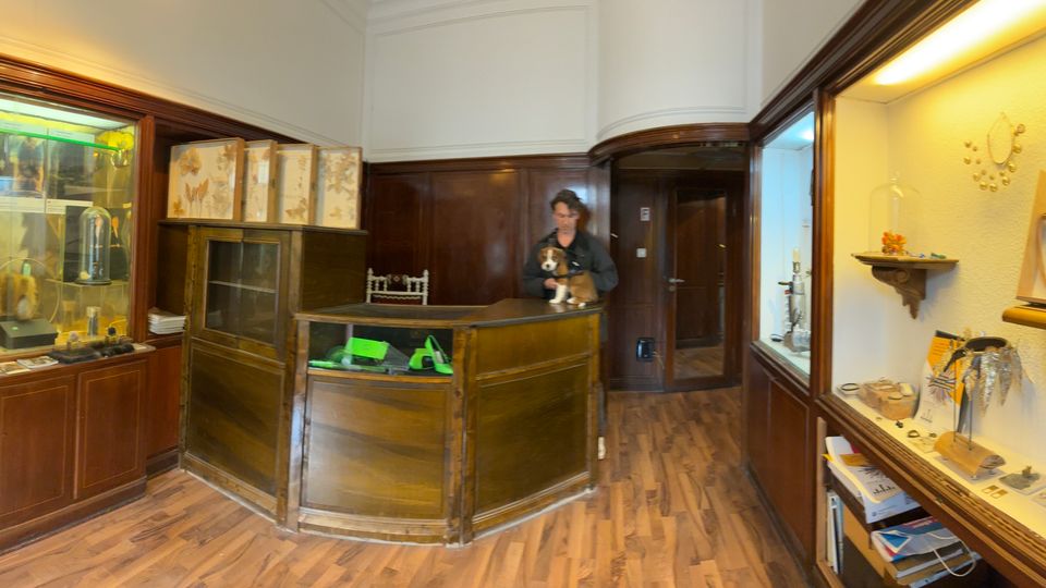 Innenansicht eines kleinen Museums- oder Ladenraums mit dunkler Holzvertäfelung, Vitrinen und Glasregalen mit Exponaten sowie einem zentralen hölzernen Verkaufstresen. Rechts befindet sich eine beleuchtete Wandvitrine mit Ausstellungsobjekten, davor ein Holzboden und im Hintergrund ein Durchgang zu weiteren Räumen.