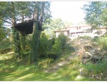 Holzbaumhaus inmitten eines bewaldeten Gartens mit Efeu bewachsenen Bäumen, einem geschwungenen Pfad aus Steinplatten und einem erhöht gelegenen Gebäude im Hintergrund, das wie ein größeres Wohnhaus wirkt.