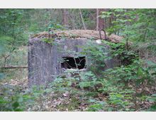 Betonbunker aus dem Zweiten Weltkrieg, teilweise überwuchert von Vegetation, umgeben von dichtem Wald. Ein rechteckiger Schießschlitz und Eisenbügel auf dem Dach sind sichtbar.