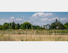 Moderne weiße Villa inmitten einer ländlichen Landschaft, umgeben von Wiesen, Feldern und dichten Bäumen unter einem leicht bewölkten Himmel. Im Vordergrund sind Gräser und ein landwirtschaftlich genutztes Gebiet zu sehen.