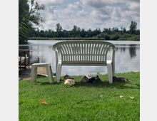 Weiße Plastikstühle stehen auf einer Rasenfläche am Ufer eines Sees, dahinter ruhen mehrere Enten. Im Hintergrund sind Bäume und ein leicht bewölkter Himmel sichtbar.