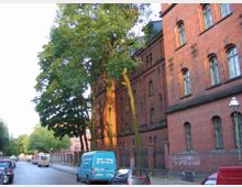 Straßenansicht mit einer roten Backsteinfassade eines historischen Gebäudes, die von Bäumen und geparkten Autos entlang der Kopfsteinpflasterstraße gesäumt ist. Im Hintergrund erstreckt sich die Straße weiter durch eine grüne Umgebung.