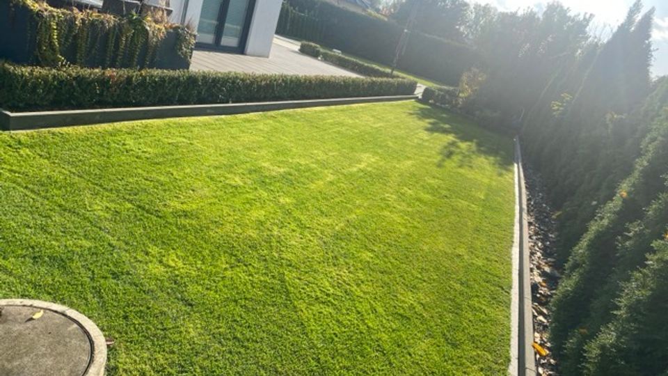 Gepflegter Garten mit großem, rechteckigem Rasenstück neben einer modernen Hausfassade mit Terrasse und Glas-Schiebetür. Entlang der Ränder verlaufen niedrige Beton-Einfassungen, Hecken und eine Reihe dichter Nadelgehölze als Sichtschutz.