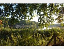Ein See mit dichter Vegetation aus Schilf und Bäumen im Vordergrund, dahinter eine Uferlandschaft mit kleinen Gebäuden, darunter ein Pavillon, eingerahmt von bewaldeten Hügeln. Die Szene zeigt eine ruhige, naturnahe Umgebung bei Sonnenlicht.