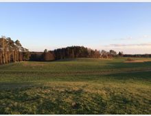 Weite, leicht hügelige Graslandschaft mit vereinzelten Baumgruppen und einem kleinen Waldstück im Hintergrund unter einem klaren, blauen Himmel. Rechts im Bild sind ein Hausdach und Bäume sichtbar.