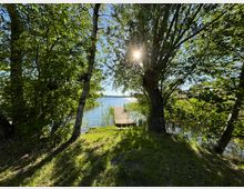 Blick durch dichtes Ufergehölz auf einen ruhigen See mit kleinem Holzsteg, umgeben von Schilf. Sonnenlicht fällt durch die Baumkronen und wirft lange Schatten auf die grasige Uferstelle.