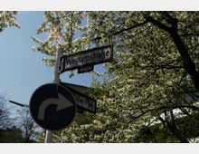 Straßenschild-Kreuzung mit Hinweisschildern „Westarpstraße“ und „Fischer Platz“ sowie einem Verkehrszeichen mit einem Pfeil nach rechts, umgeben von blühenden Bäumen unter klarem, blauem Himmel.