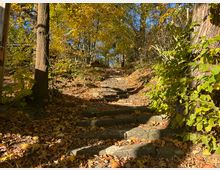 Ein steiler Pfad aus unregelmäßigen Steinstufen führt durch einen herbstlichen Wald mit bunten, überwiegend gelb und braun gefärbten Blättern. Sonnenlicht fällt durch die Bäume und erzeugt Schattenmuster auf dem mit Laub bedeckten Boden.