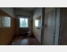 Ein veraltetes Badezimmer mit braunen Fliesen, einem Fenster mit Blick auf Bäume, einer Toilette, einem Heizkörper darunter und einer Duschkabine auf der rechten Seite. Der Boden besteht aus braunen Fliesen, und im Raum sind stellenweise Beschädigungen sichtbar.