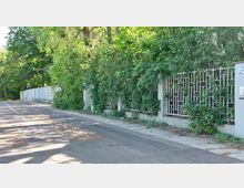 Gehweg entlang einer Straße mit einer hohen Betonmauer, die teilweise mit grüner Kletterpflanzen bewachsen ist. Im Hintergrund sind Bäume und Büsche zu sehen, die die Umgebung umgeben.