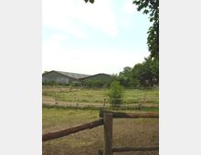 Eine ländliche Szene mit einer Weide, die von einfachen Holzzäunen umgeben ist. Im Hintergrund stehen große grüne Scheunengebäude und Bäume, während der Himmel leicht bewölkt ist.