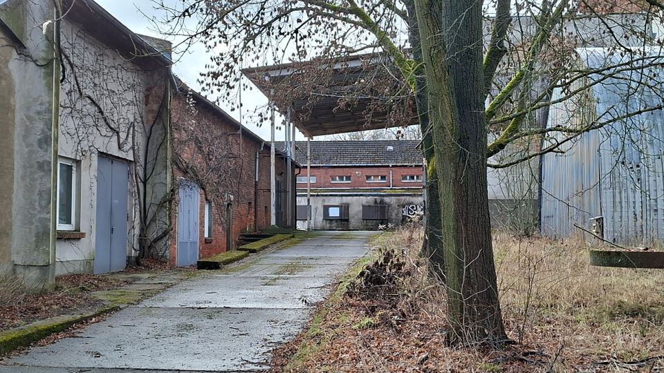 Schmaler betonierter Zufahrtsweg in einem ehemaligen Industriehof, flankiert von alten Backstein- und Putzgebäuden mit großen Metalltüren und überwachsenen Fassaden. Rechts stehen kahle Bäume und hohes Gras neben einer Wellblechhalle; im Hintergrund sind weitere Industriegebäude und ein Vordach zu sehen.