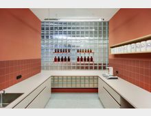 Ein moderner Laborraum mit Arbeitsflächen, rötlich verkachelten Wänden und einem Waschbecken auf der linken Seite. Im Hintergrund befindet sich eine Wand aus Glasbausteinen mit roten Regalen, auf denen braune Glasflaschen stehen; rechts oben sind weiße Behälter auf einem Regal angeordnet.