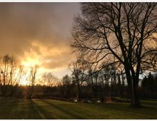 Eine parkähnliche Landschaft bei Sonnenuntergang mit großen, blattlosen Bäumen, deren Äste sich vor einem gelb-orange leuchtenden Himmel abzeichnen. Im Vordergrund liegt eine mit Gras bewachsene Fläche, im Hintergrund sind ein Teich und weitere Bäume erkennbar.