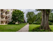 Wohngebiet mit mehrstöckigen Wohnhäusern auf der linken Seite, Balkone und Fenster sind zu sehen. Ein Fußweg führt durch eine Grünfläche mit großen Bäumen und niedrigem Gras, der rechte Bildrand zeigt den Stamm eines massiven Baumes.