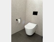 Moderner Toilettenraum mit einer wandmontierten weißen Toilette, grauen Steinfliesen und hellgrauen Wandpaneelen mit Terrazzo-Optik. Ein Toilettenpapierhalter mit einer Papierrolle ist links neben der Toilette angebracht, und eine schwarze Spültaste befindet sich oberhalb der Toilette.