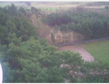 Blick auf einen grünen Nadelwald mit dichten Baumkronen, im Hintergrund offene Wiesenlandschaft. Ein schmaler Zaun grenzt den Waldrand von einer freien Grünfläche ab.