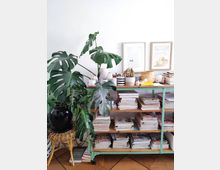 A cozy interior featuring a wooden shelving unit with a light green metal frame, filled with neatly stacked books and magazines. The top shelf is decorated with potted green plants, small ceramic items, and framed art prints on a white wall in the background.