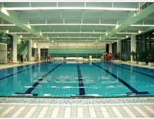 Innenansicht eines Hallenbads mit einem großen rechteckigen Schwimmbecken. Der Raum hat eine helle Decke mit Lamellenbeleuchtung, farbige Fliesen am Beckenrand und breite Fensterfronten an der rechten Seite; Pflanzen und Schwimmausstattung stehen an den Rändern des Beckens.