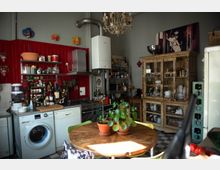 Rustikale Küche mit roten Wandpaneelen, offenem Regal für Gewürze und Utensilien sowie einer Kombination aus Waschmaschine und Geschirrspüler unter der Arbeitsplatte. Ein Holztisch mit grünen Stühlen und Topfpflanzen steht im Vordergrund, während ein antiker Holzvitrinenschrank und diverse Küchengeräte die Einrichtung ergänzen.