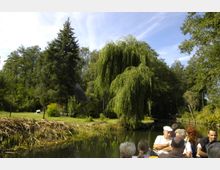 Eine ländliche Szenerie mit einem kleinen Fluss oder Kanal, umgeben von dichter Vegetation wie Bäumen und einer hängenden Weide. Im Vordergrund sitzen mehrere Menschen in einem flachen Boot, das durch das Wasser fährt.