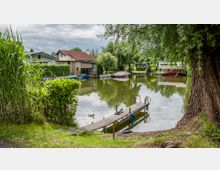 Ein kleiner Teich mit ruhigem Wasser, umgeben von Bäumen und dichtem Grün. Im Vordergrund führt ein schmaler Holzsteg ins Wasser, während im Hintergrund Bootshütten, Boote und Wohnhäuser mit roten Dächern zu sehen sind.