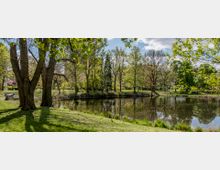 Parklandschaft mit einem ruhigen Teich, umgeben von grünen Wiesen und hohen Bäumen. Im Hintergrund sind mehrstöckige Wohngebäude zu sehen, die von weiteren Bäumen eingerahmt werden.