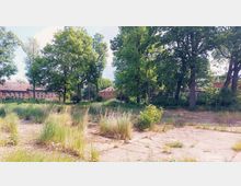 Weitläufiges Gelände mit vereinzeltem, hohem Bewuchs und Grasflächen. Im Hintergrund befinden sich Backsteingebäude, teils verdeckt durch große Bäume.