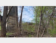 Dicht bewachsener Wald mit jungen und älteren Bäumen, im Hintergrund ein teilweise sichtbarer, alter gemauerter Turm und eine verrostete Stahlbrücke. Der Boden ist von Ästen und Gestrüpp bedeckt, darüber blauer Himmel mit wenigen Wolken.