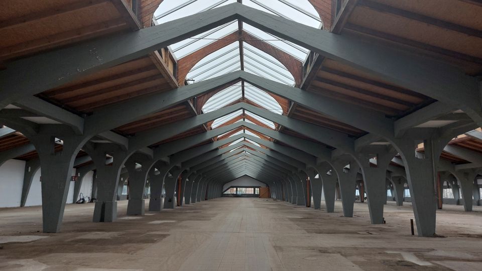 Großer, leerer Innenraum einer Halle mit einer Dachkonstruktion aus Holz und Metallträgern. Das Dach ist teilweise verglast und lässt Tageslicht einfallen, während die Wände weiß und schlicht gehalten sind.