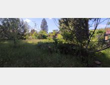 Ein überwucherter Garten mit hohem Gras, Bäumen und Sträuchern, im Hintergrund ist ein Haus mit Flachdach und Balkon teilweise sichtbar. Im Vordergrund stehen vereinzelt kahle Äste und eine Metalltonne, rechts ist ein Zaun erkennbar.