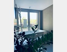 Ein modernes Badezimmer mit einer weißen freistehenden Badewanne vor einer großen Fensterfront. Im Vordergrund sind grüne Zimmerpflanzen zu sehen, und durch die Fenster ist ein Außenbereich mit Bäumen und Holzstrukturen sichtbar.