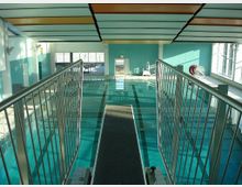 Innenansicht eines Hallenbads mit Blick von einem Sprungbrett auf das Schwimmbecken. Zu sehen sind ein türkisfarbener Fliesenboden, blau gestrichene Wände, große Fenster, die Tageslicht hereinlassen, und eine Decke mit weißen und holzfarbenen Elementen.