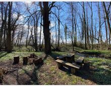 Ein Picknickplatz in einem Wald mit einer Holztisch-Bank-Kombination und Baumstümpfen, die einen Lagerfeuerplatz umgeben. Im Hintergrund fließt ein kleiner Bach durch die von kahlen Bäumen gesäumte Landschaft.