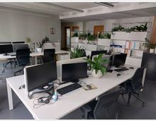 Ein modernes Büro mit mehreren weißen Schreibtischen, schwarzen Bürostühlen und Computermonitoren. Der Raum ist mit Zimmerpflanzen dekoriert, und Regale mit Pflanzen und Aktenordnern trennen die Arbeitsplätze.