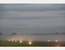 Flugzeug auf einer Landebahn bei nebligen Bedingungen, umgeben von eingeschalteten Landelichtern; im Hintergrund sind Bäume und ein bewölkter Himmel zu sehen.