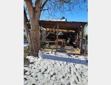 Überdachter Holzpavillon mit geöffneten Seiten und Holzmöbeln, umgeben von einem verschneiten Garten; ein großer Baum steht im Vordergrund, während im Hintergrund ein Hausdach sichtbar ist.