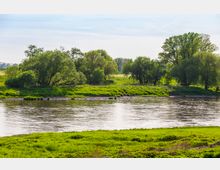 Flusslandschaft mit ruhiger Wasseroberfläche, umgeben von grünen Wiesen und Bäumen. Im Hintergrund stehen vereinzelt größere Bäume unter einem hellen Himmel.
