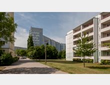 Mehrere Wohnblöcke in einer modernen Plattenbau-Siedlung, umgeben von Grünflächen und Bäumen. Im Vordergrund ein Gehweg, entlang dessen einige Personen zu sehen sind.