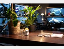 Ein dunkler Tisch mit einer großen Zimmerpflanze in einem geflochtenen Korb und einer kleineren Pflanze in einem schwarzen Topf im Vordergrund. Daneben stehen Gläser, Becher und Broschüren, während im Hintergrund in einem beleuchteten Raum Motorräder auf Regalen ausgestellt sind.